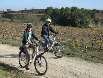 Passeio de bicicleta elétrica e degustação de vinhos na região de Penedes